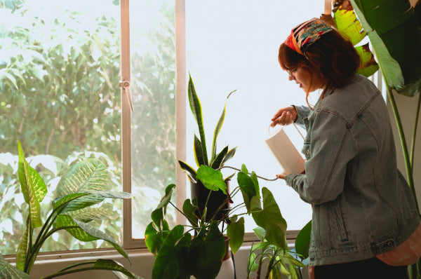 girl watering plants for growth