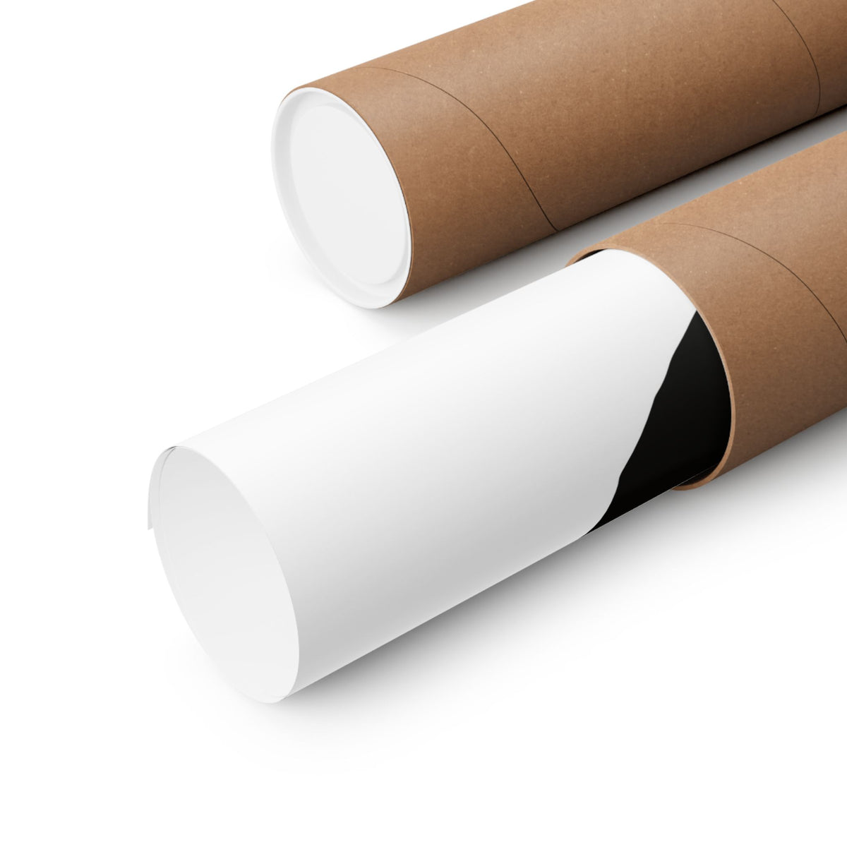 Two cardboard tubes with white paper inside on a white background