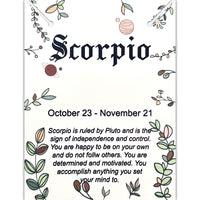 Scorpio Constellation Necklace