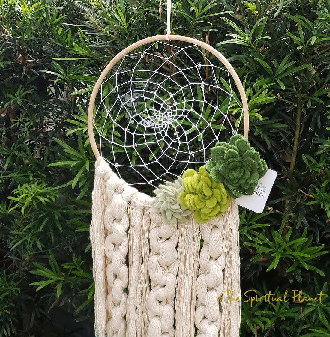 Desert Romance Dreamcatcher Succulent Dreamcatcher Dream Catcher Moon Dream Catcher Designs Macrame Large Dream Catcher Dreamcatcher