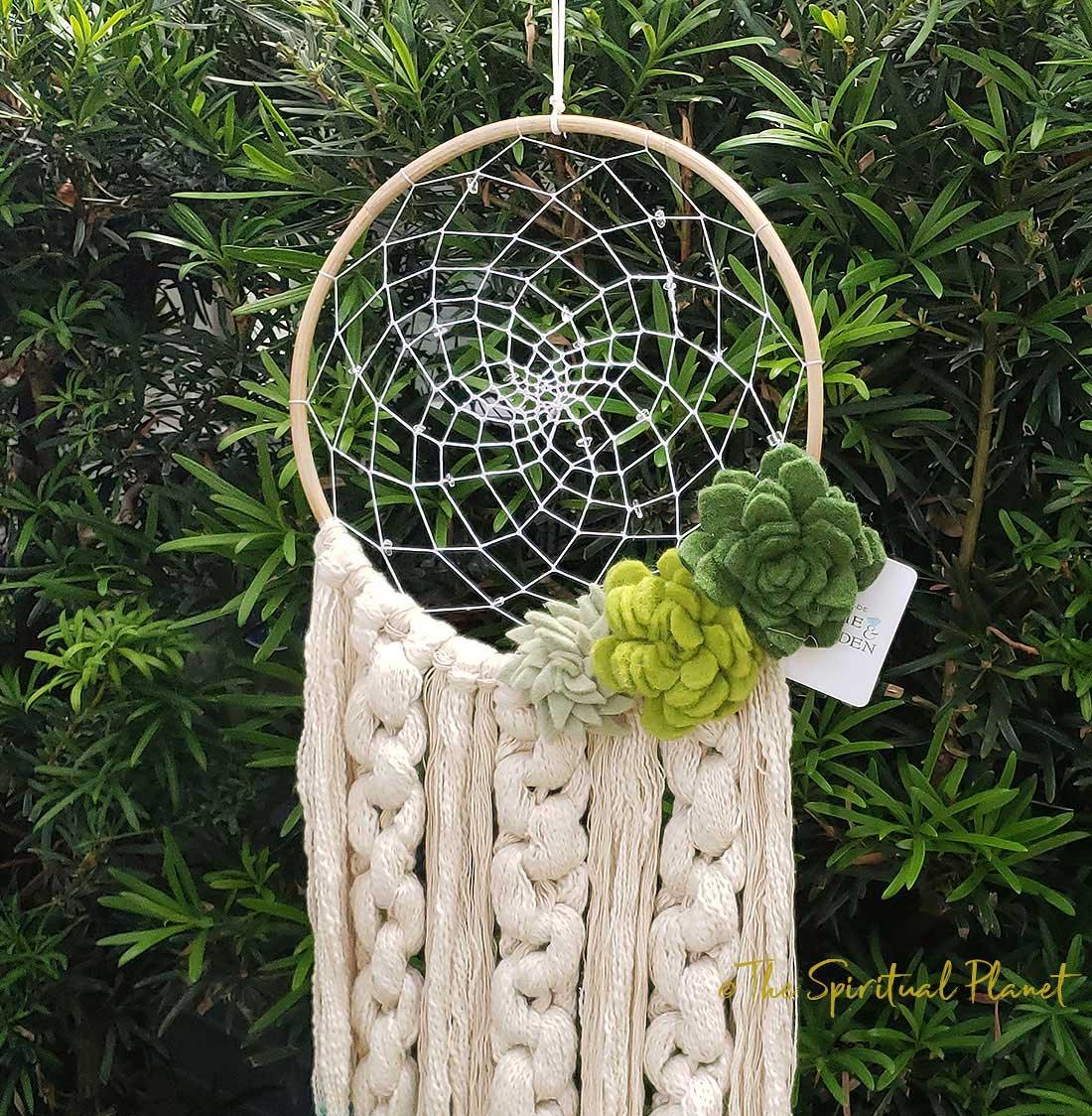 Desert Romance Dreamcatcher Succulent Dreamcatcher Dream Catcher Moon Dream Catcher Designs Macrame Large Dream Catcher Dreamcatcher