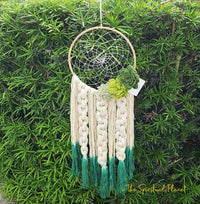 Desert Romance Dreamcatcher Succulent Dreamcatcher Dream Catcher Moon Dream Catcher Designs Macrame Large Dream Catcher Dreamcatcher